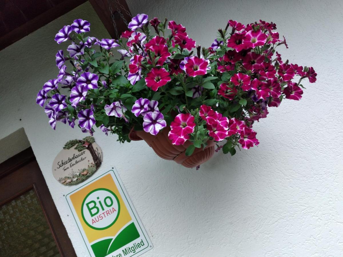 Bio-Bauernhof Schiederhof Daire Fusch an der Grossglocknerstrasse Dış mekan fotoğraf