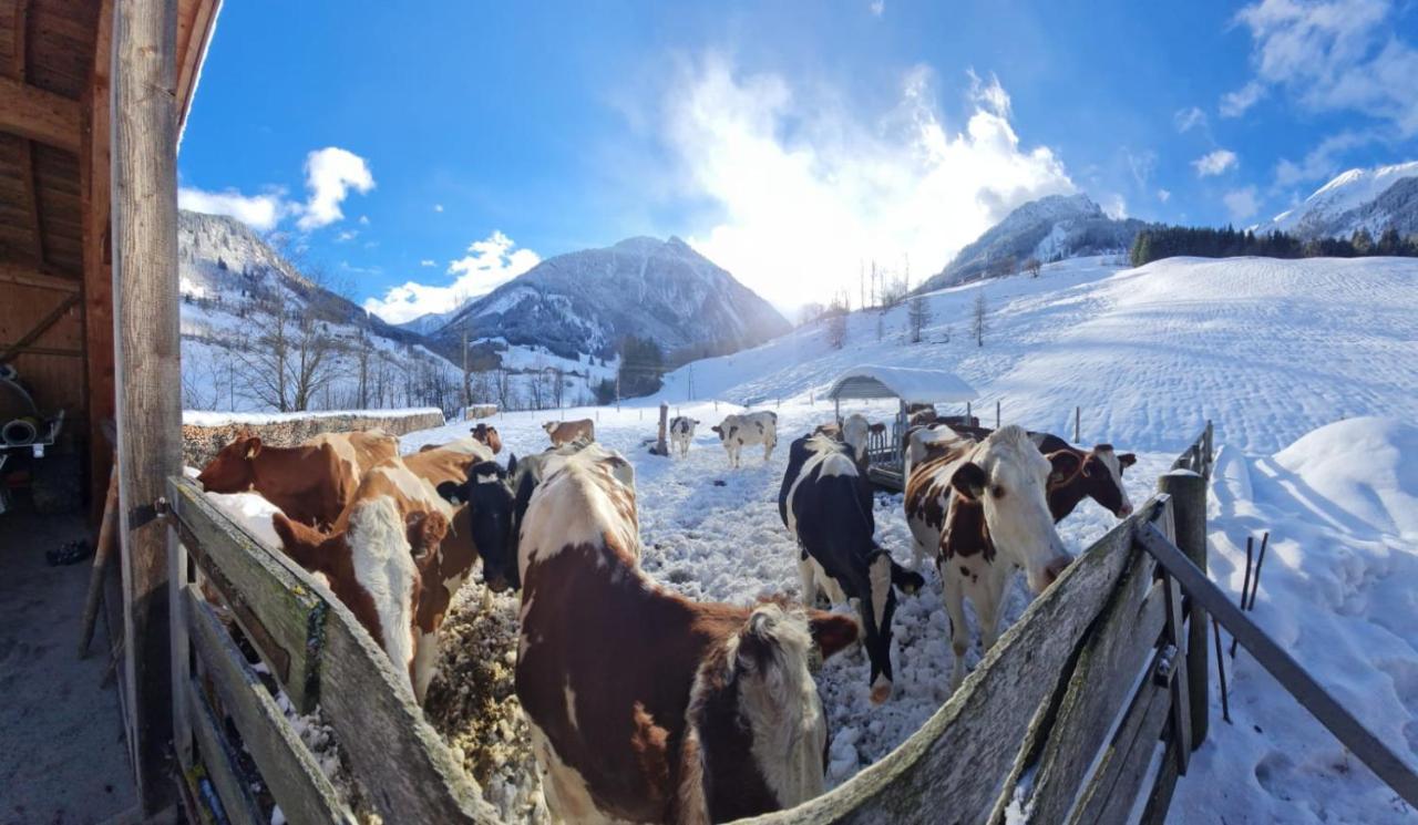 Bio-Bauernhof Schiederhof Daire Fusch an der Grossglocknerstrasse Dış mekan fotoğraf