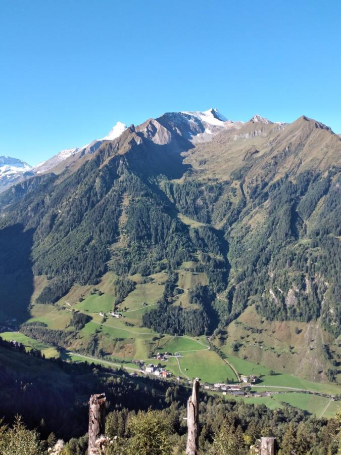 Bio-Bauernhof Schiederhof Daire Fusch an der Grossglocknerstrasse Dış mekan fotoğraf