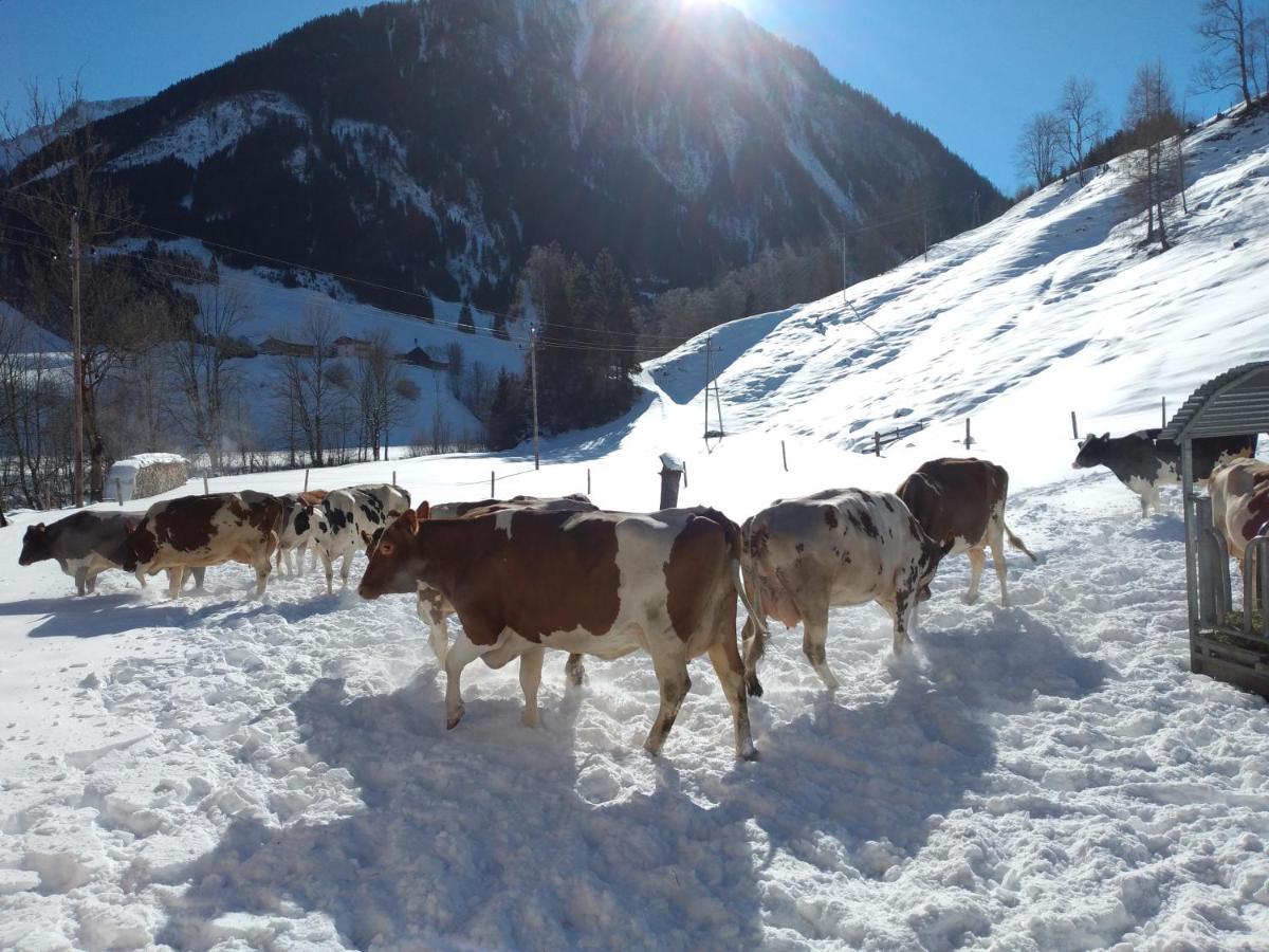 Bio-Bauernhof Schiederhof Daire Fusch an der Grossglocknerstrasse Dış mekan fotoğraf
