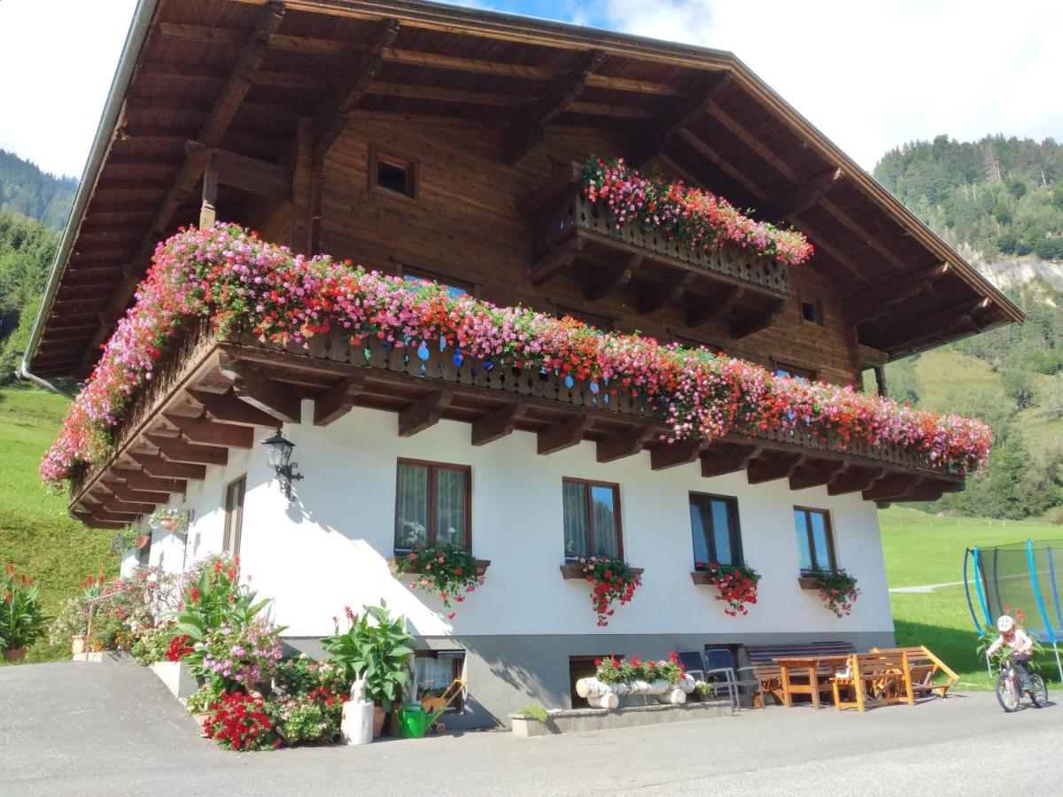 Bio-Bauernhof Schiederhof Daire Fusch an der Grossglocknerstrasse Dış mekan fotoğraf